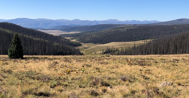 Colorado Trail Day 32 Just after Spring Creek Pass