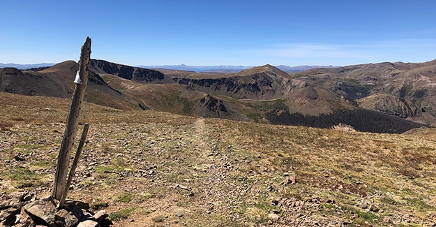 Kula Cloth above tree line