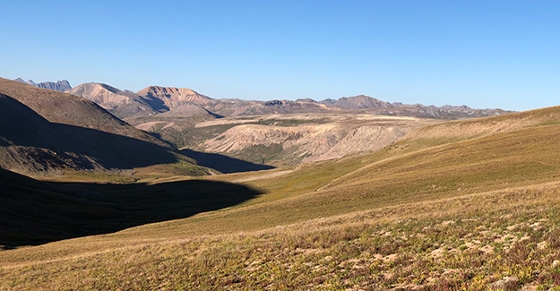 Section 23 above tree line on the trail