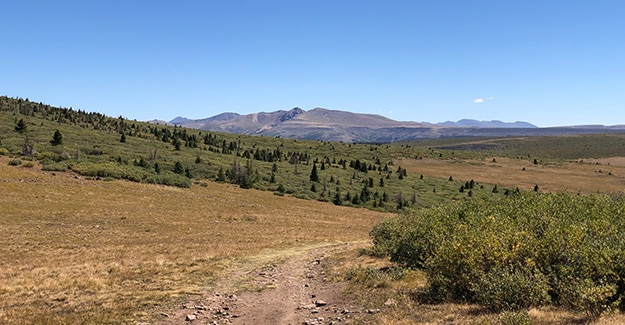 Old ATV roads after Spring Creek Pass