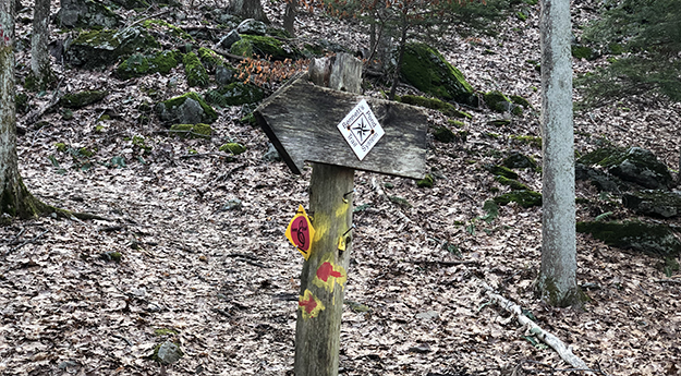 Trail Signs Near Bennett's Pond