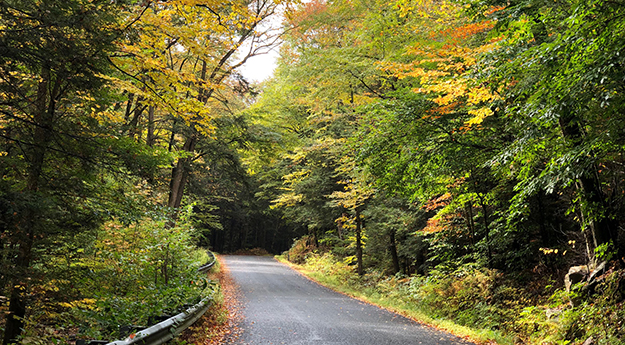 Road Walk After Amherst on the NET