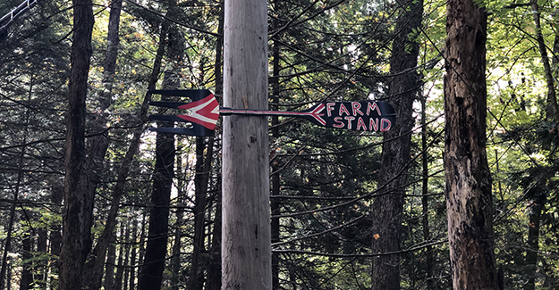 Farm Stand Sign on New England Trail Road Walk