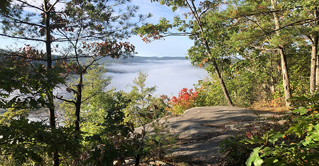 Fall Colors on Ledges Above Hermits Cave