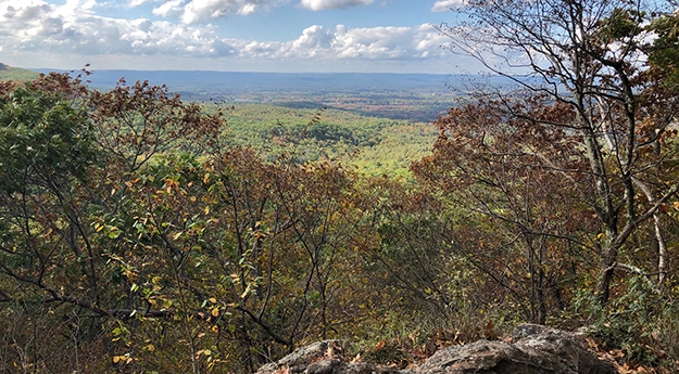 Views from Long Mountain on the NET