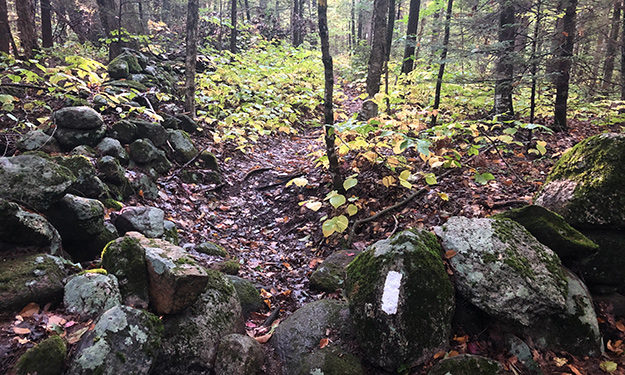 net crossing stone wall