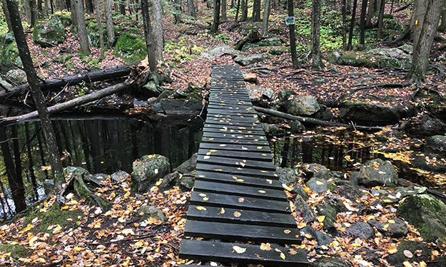 bridge in front of royalston shelter
