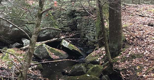 Old Stone Bridge Near Sibley Swamp