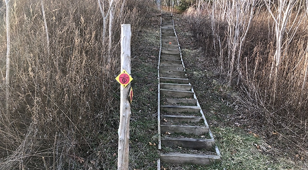 Stairs after crossing Route 7