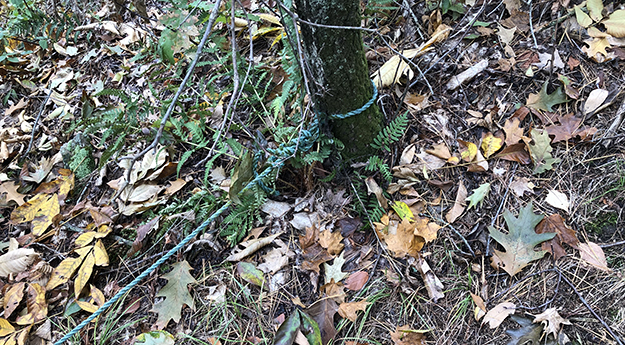 Small Nylon Roped Used to Climb Steep Hill