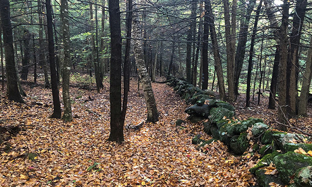 Traditional New England Stone Wall