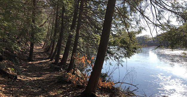 Sugar Hollow Pond Near Route 7