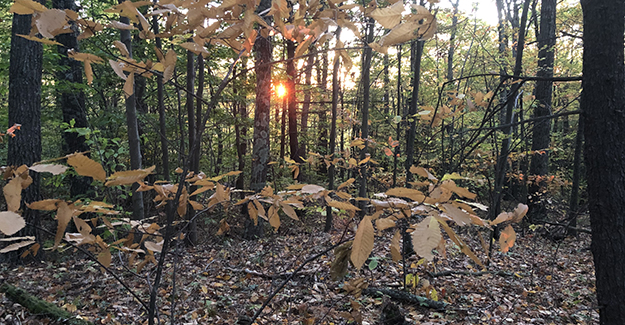 Sunrise on the New England Trail Backpacking