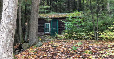 Tiny Cabin on the New England Trail in Massachusets