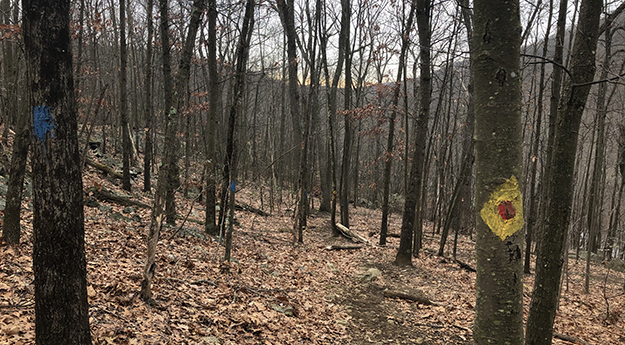 Ives Trail Markers