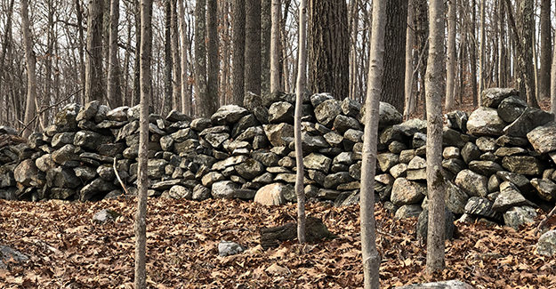 Connecticut Rock Wall on Ives Trail