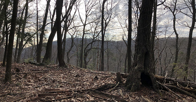 Winter View from Ives Trail