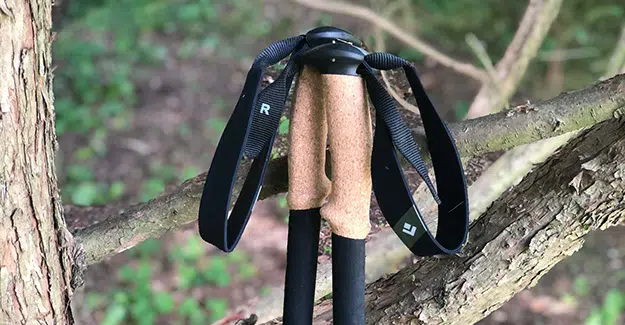 Black Diamond Alpine Carbon Cork Straps and Handles