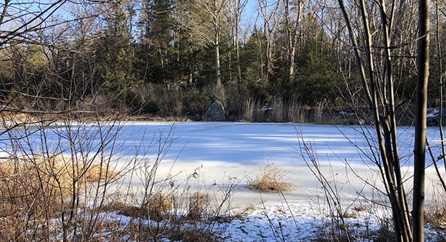 Early Morning on Fyler Pond