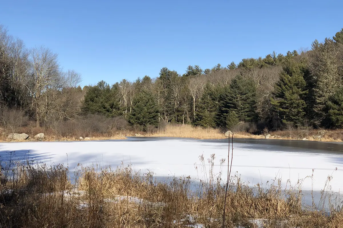 Testone Boulder Loop Trail - A Really Big Rock| Average Hiker