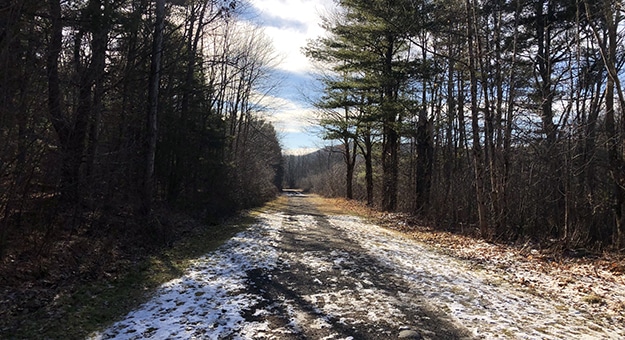 Old Service Road on Testone Boulder Loop Trail