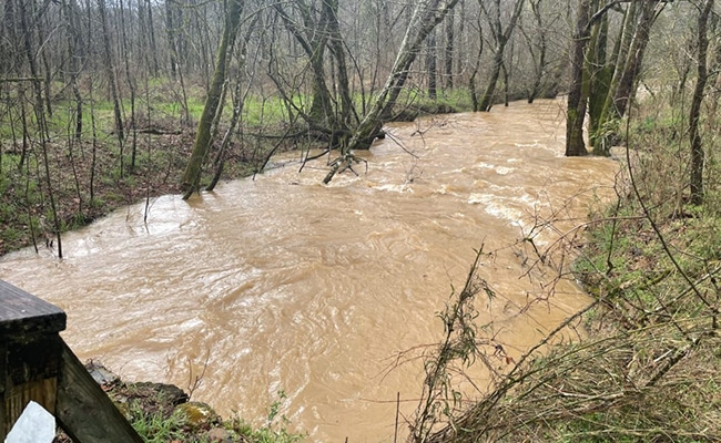 flooded stream on the bmt