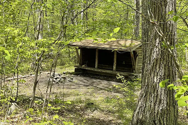 Pine Hill Shelter