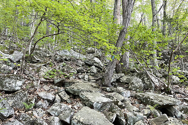 Rocky climb up Mohawk Trail near Route 7