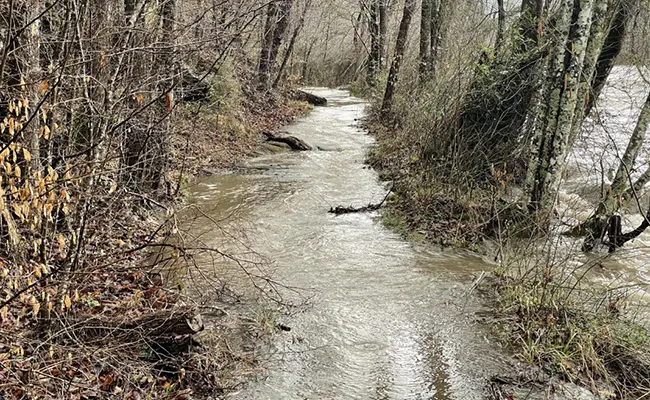 trail turned to creek on the bmt