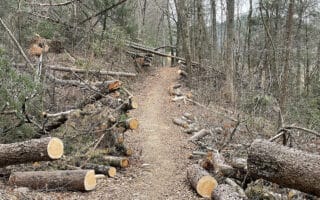 Trail Maintenance on the Benton Mackaye Trail outside Blueridge, GA