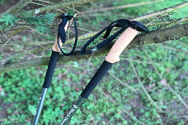 Black Diamond Carbon Cork Hiking Poles