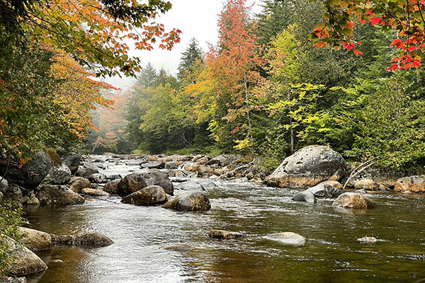 Fall View on the Cold River on the Northville-Placid Trail