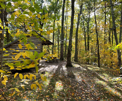 Appalachian Trail Shelter in Connecticut