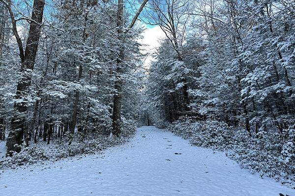 Snowy Road Peoples State Park