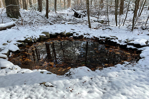 Fire Suppression Pond on Loop Trail