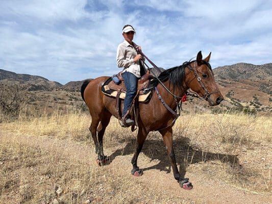 Arabian endurace racer on the AZT