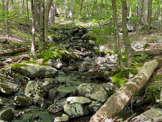 Small creek in Macedonia State Park