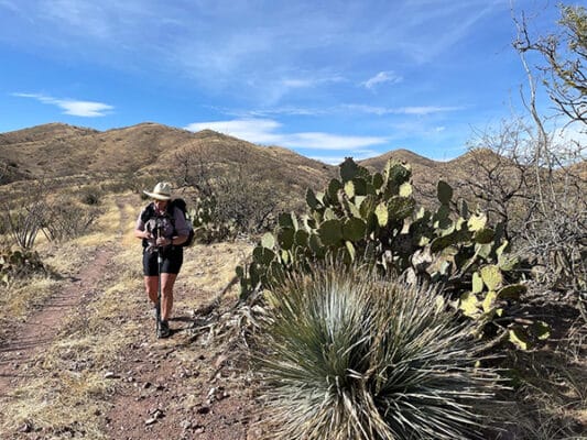 Cricket on the Arizona Trail near Tucson