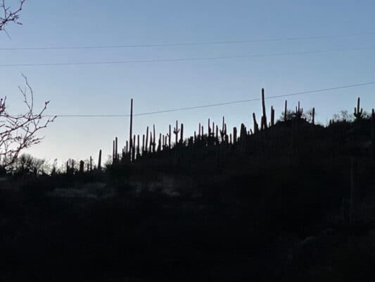 Night in Colossal Cave Park.