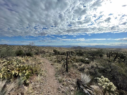 High desert on the AZT