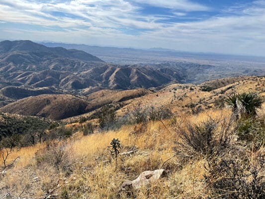 Hike down Mt. Lemmon from Summerhaven, AZ