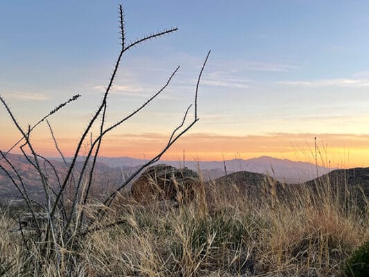 Sunset view from Saguaro National Park on the Arizona Trail