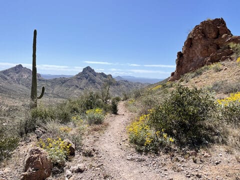 Trail through the Superstion Mountains