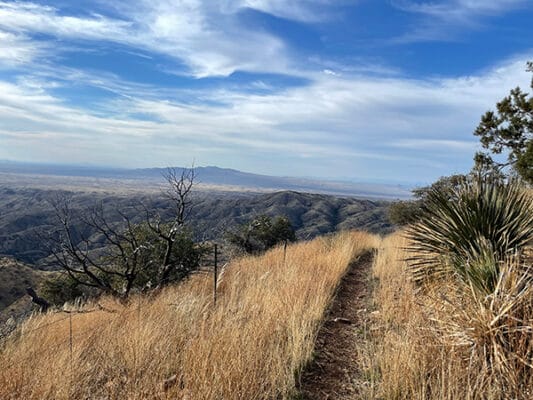 View from Mt. Lemmon towards Oracele, AZ on the Arizona Trail