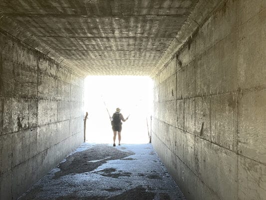 Cricket in tunnel on Arizona Trail outside Superior, AZ