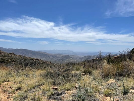 Views out from the Arizona Trail in the Mazatzals