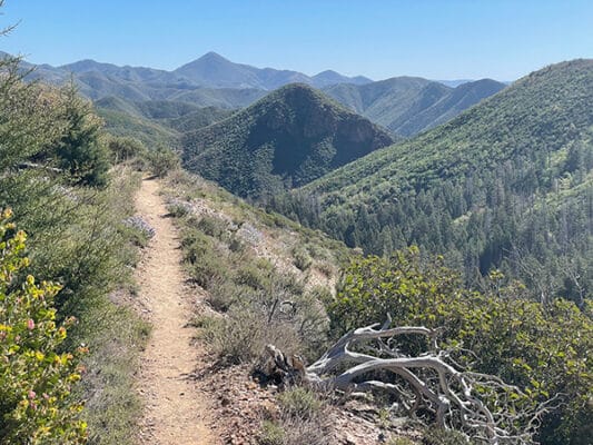 Trail up into the Mazatzals