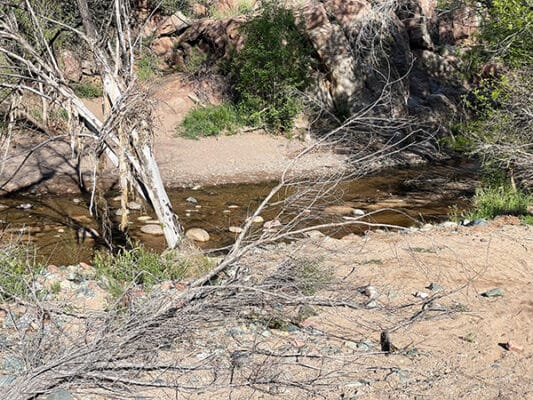 Sycamore Creek near Sunflower Crossing