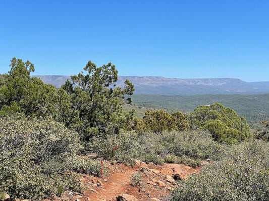 Climb out of Pine Arizona on the Arizona Trail