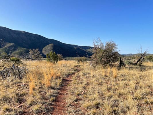 AZT Trail up out of The Park Camping